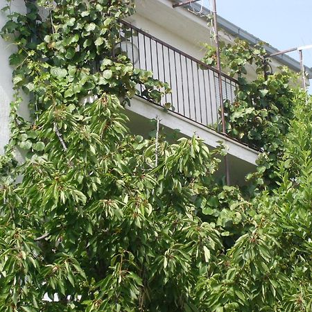 Apartments Prizmic Ποντστράνα Εξωτερικό φωτογραφία