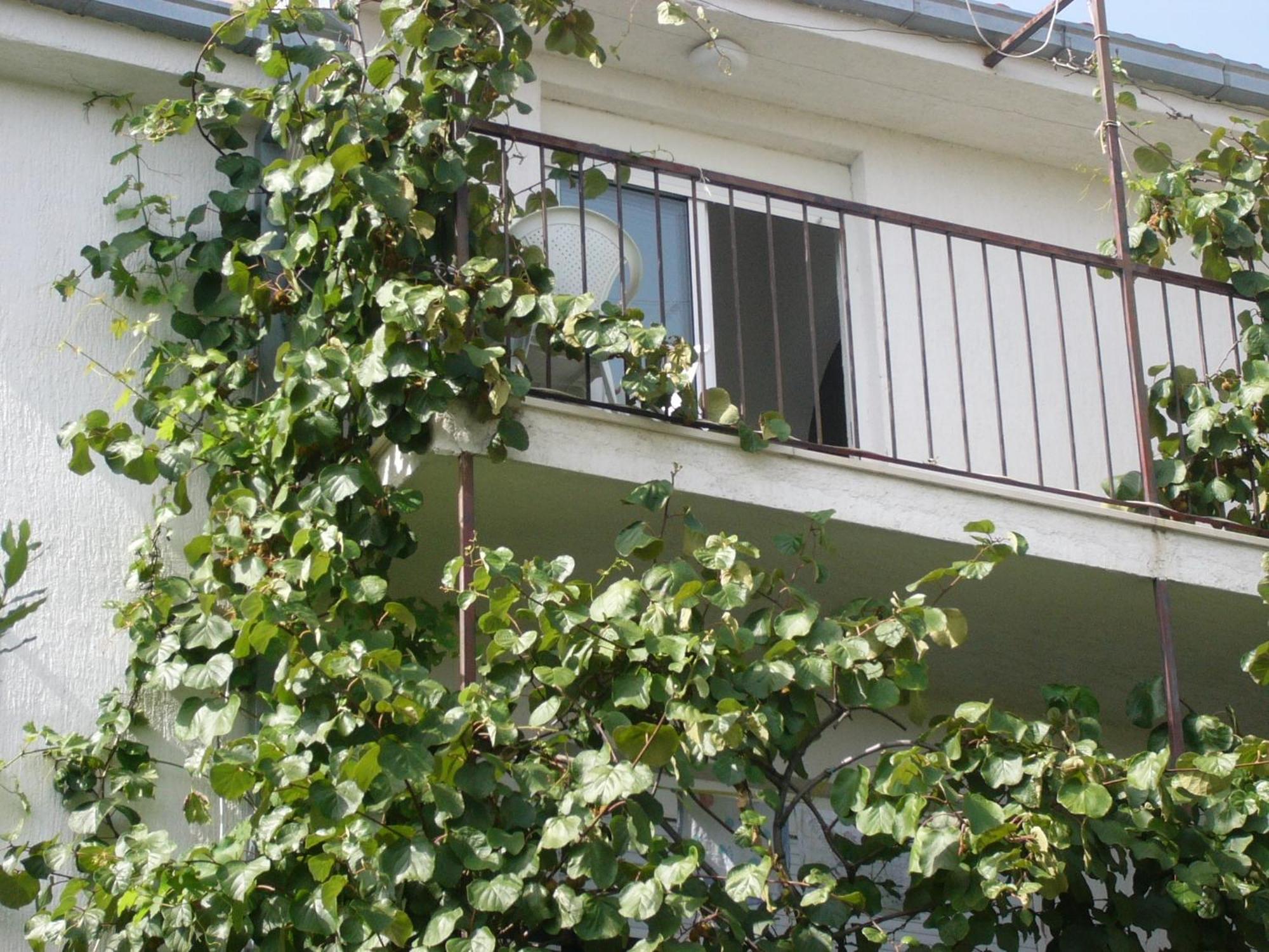 Apartments Prizmic Ποντστράνα Εξωτερικό φωτογραφία